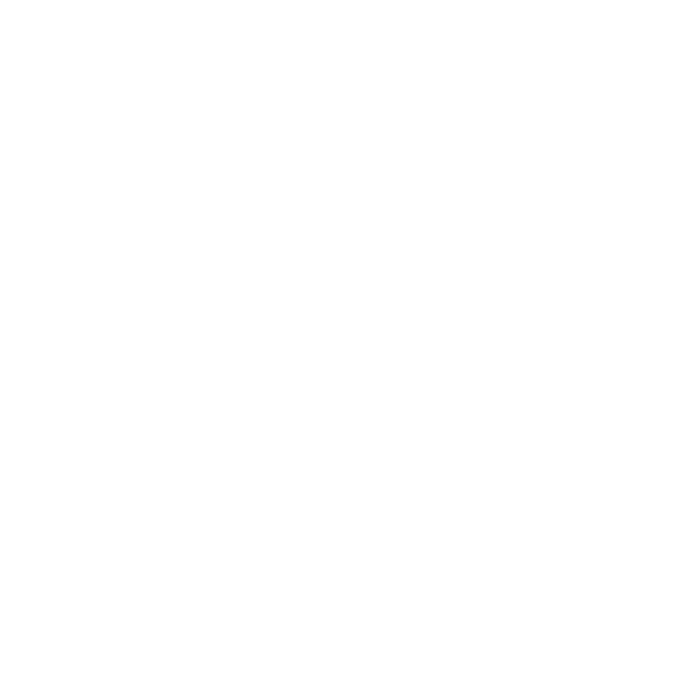 jet city logo