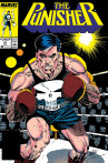  					Punisher Vol 1 21